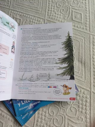 Lengua castellana y literatura, 5 Primaria Revuela