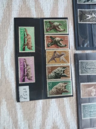 5 Lotes Sellos IFNI