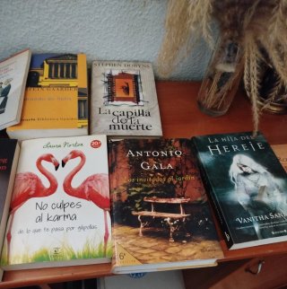 Colección de libros novelas