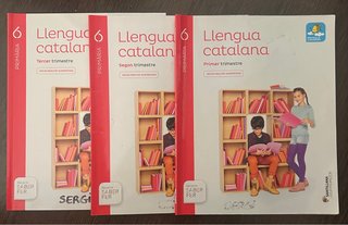 Llengua catalana, 6 Primària Projecte Saber fer