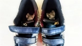 Zapatillas K1X Negras skate