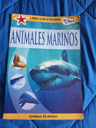 Lote Verano Niños