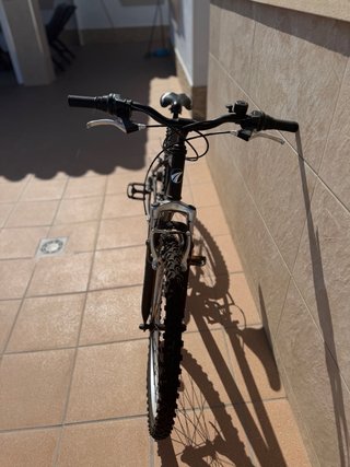 Bicicleta de montaña Avigo negra