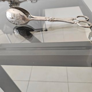 Pinzas de plata con diseño floral