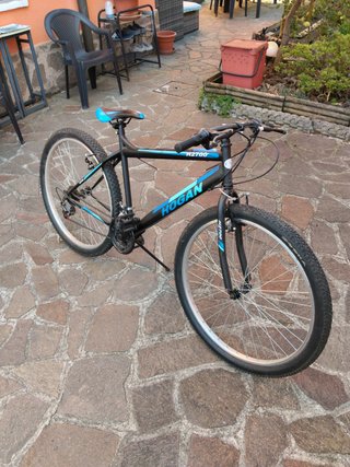 Mountain bike Hogan H2700
