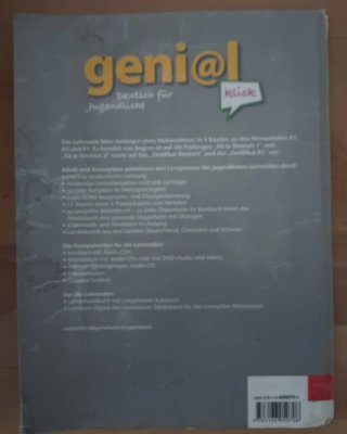 Geni@l Klick B1 Arbeitsbuch