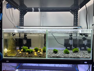 Acuario Blau 44L