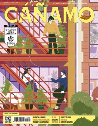 Revista Cáñamo 305+semilla