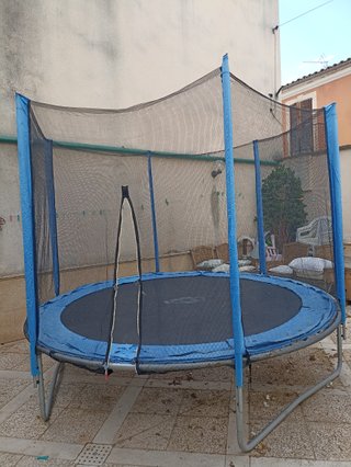 Cama elástica 3m diámetro con red