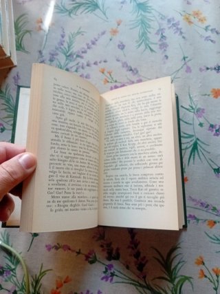 Libro- Niente di nuovo sul fronte occidentale