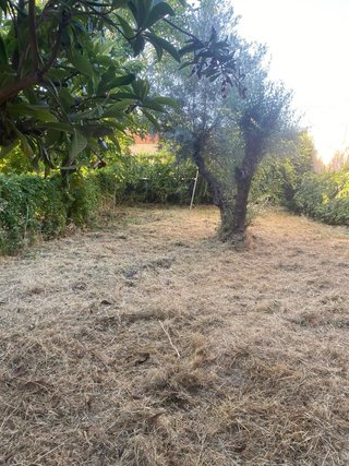 Servicio de jardinería, desbroces de fincas , poda