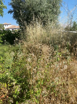 Servicio de jardinería, desbroces de fincas , poda