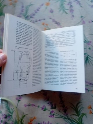 Libro - Il manuale del giovane detective