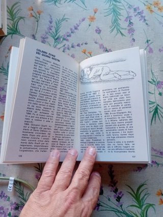 Libro - Il manuale del giovane detective