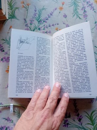 Libro - Il manuale del giovane detective