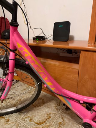 Bicicleta Niña Rosa
