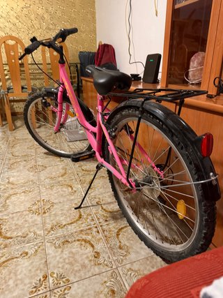 Bicicleta Niña Rosa
