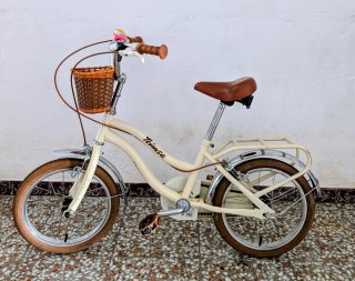Bicicleta infantil niña y niño.