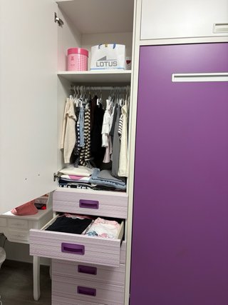 Armario modular con cama abatible