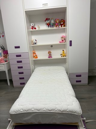 Armario modular con cama abatible