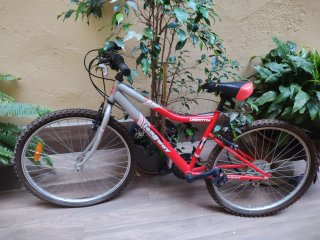 Bicicleta de Montaña Liberty26