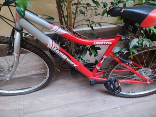 Bicicleta de Montaña Liberty26