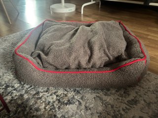 Cama para perro grande
