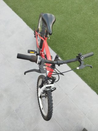 Bicicleta infantil roja 20 pulgadas