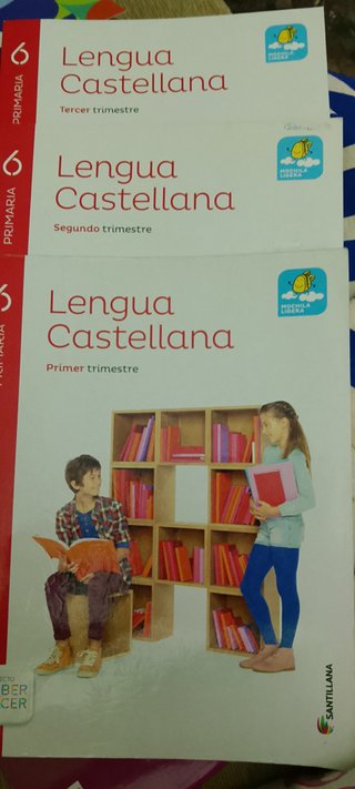 Libros Lengua y Literatura.6° Primaria.Santillana
