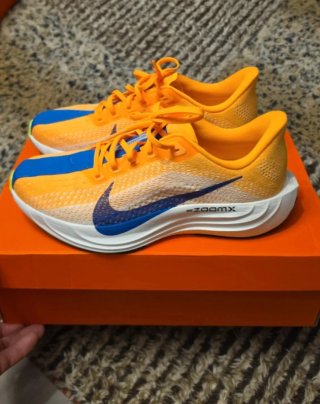 Nike pegasus plus