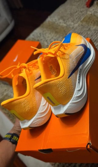 Nike pegasus plus