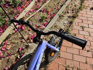 Bicicleta Coluer MAGIC 16 Morada