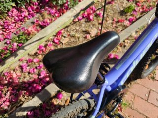 Bicicleta Coluer MAGIC 16 Morada