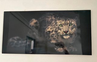 Cuadro Puma