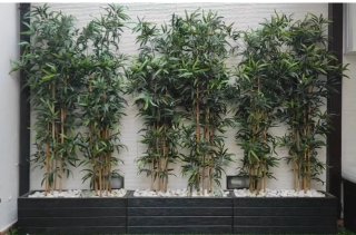 Plantas de bambú artificiales decorativas
