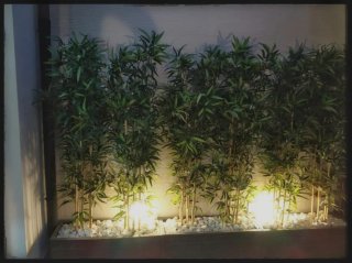 Plantas de bambú artificiales decorativas