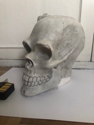 Calavera de escayola con figura de animal