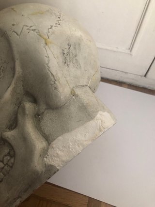 Calavera de escayola con figura de animal
