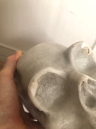Calavera de escayola con figura de animal