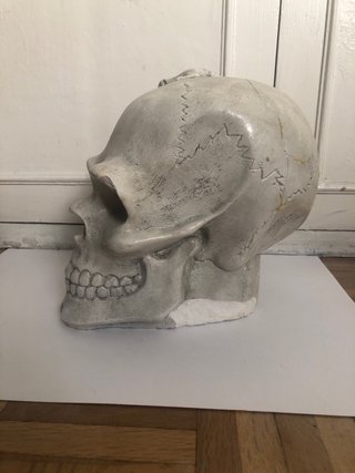 Calavera de escayola con figura de animal