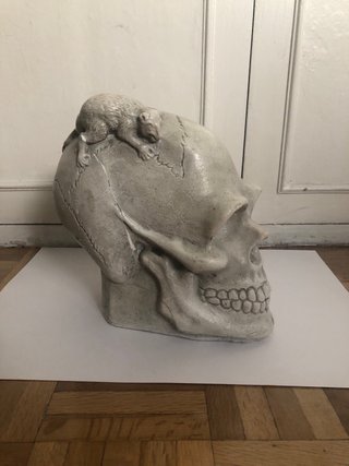 Calavera de escayola con figura de animal