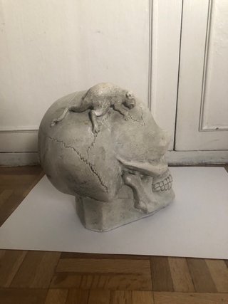 Calavera de escayola con figura de animal
