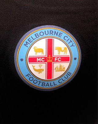 Camiseta Melbourne City 2021 Puma original