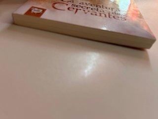 La aventura secreta de Cervantes