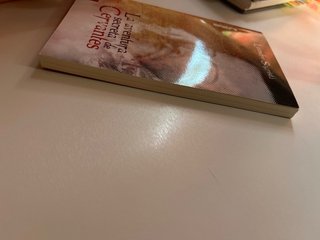 La aventura secreta de Cervantes