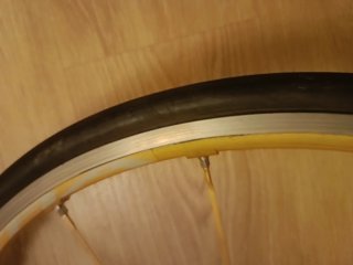 Rueda Delantera Campagnolo Shamal Gold