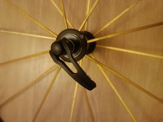 Rueda Delantera Campagnolo Shamal Gold