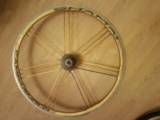 Rueda Delantera Campagnolo Shamal Gold
