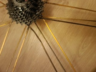 Rueda Delantera Campagnolo Shamal Gold
