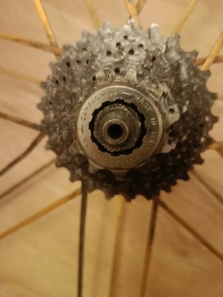 Rueda Delantera Campagnolo Shamal Gold